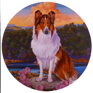 Illustrations: Lassie