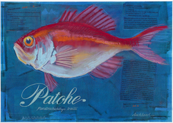 Fine Art: Patohe